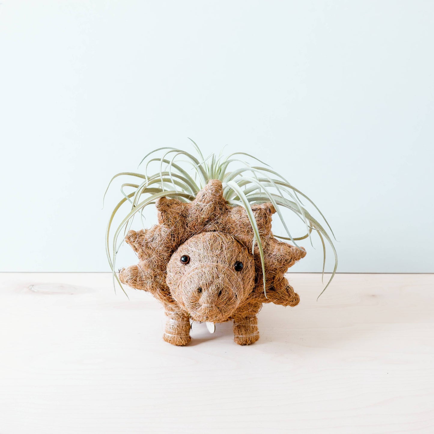 Animal Planter - Triceratops