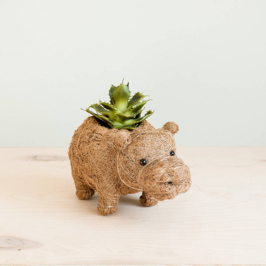 Animal Planter - Baby Hippo | LIKHA