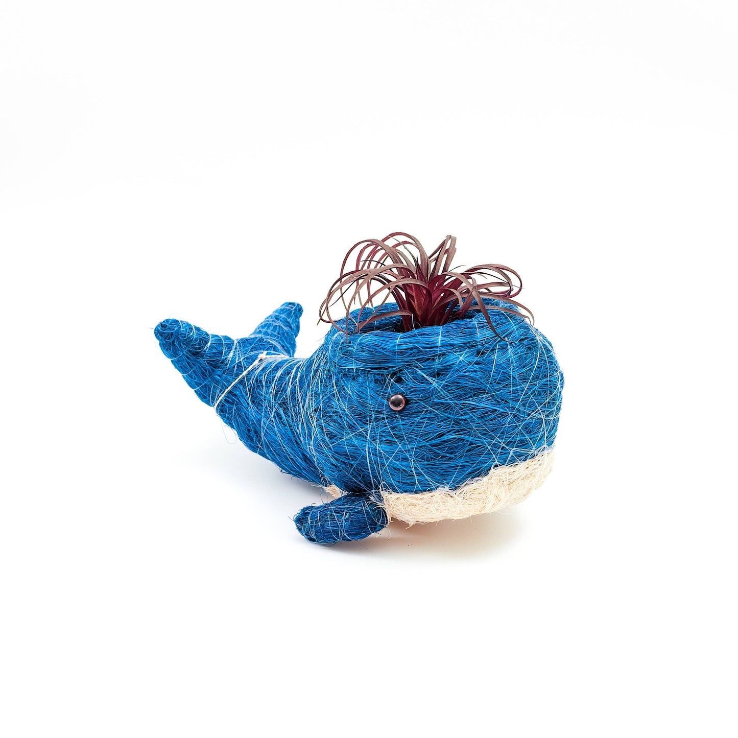 Animal Planter - Baby Whale | LIKHA