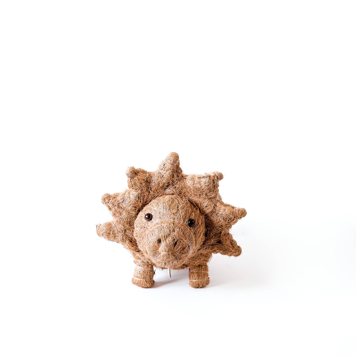 Animal Planter - Triceratops