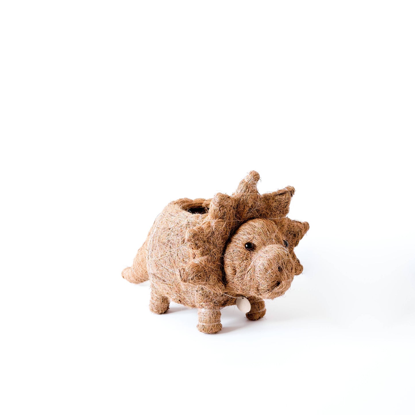 Animal Planter - Triceratops