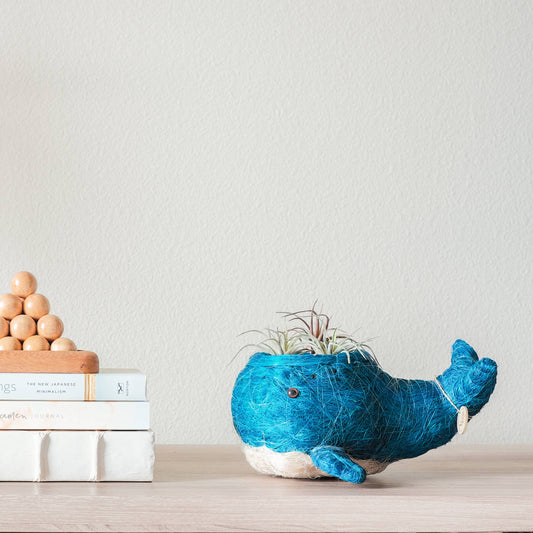 Animal Planter - Baby Whale | LIKHA